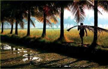 Family Getaway 5 Days 4 Nights Thattekad Tour Package