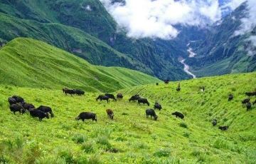 Family Getaway 4 Days 3 Nights Cochin Holiday Package