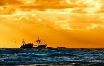 Family Getaway 4 Days 3 Nights Cochin Holiday Package