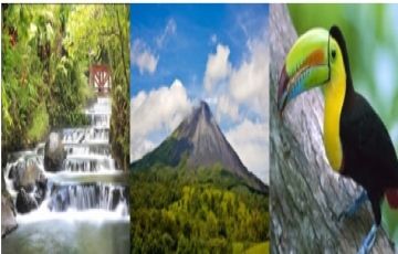 Beautiful 12 Days 11 Nights Costa Rica Tour Package