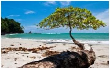 Beautiful 12 Days 11 Nights Costa Rica Tour Package