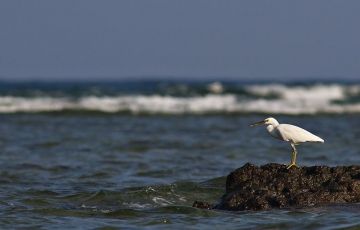 Beautiful 5 Days 4 Nights Port Blair Vacation Package