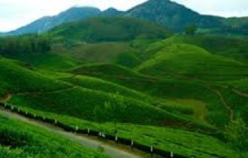 Munnar Tour Package for 4 Days 3 Nights from Kochi