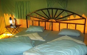 Pleasurable 2 Days Kanatal Vacation Package by CAMP ADDA INDIA Travel Pvt Ltd