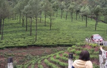 Ecstatic Cochin Tour Package for 3 Days 2 Nights