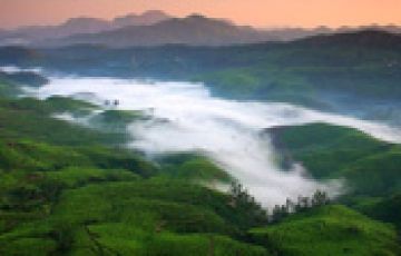 Ecstatic Cochi Tour Package for 7 Days 6 Nights