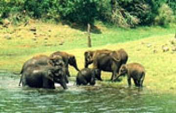 Ecstatic Cochi Tour Package for 7 Days 6 Nights