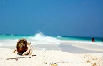 Family Getaway Port Blair Tour Package for 4 Days 3 Nights