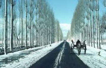 Magical 5 Days 4 Nights Srinagar, Gulmarg and Sonmarg Tour Package