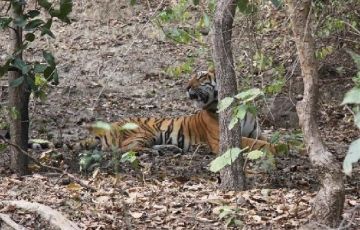 Nainital, Ranikhet, Corbett and Mussoorie Tour Package from New Delhi