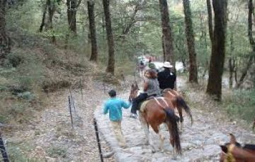 Amazing 5 Days 4 Nights Corbett, Delhi with Ranikhet Holiday Package