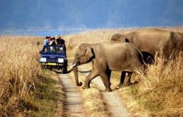 Memorable 4 Days 3 Nights Nanital and Corbett Trip Package
