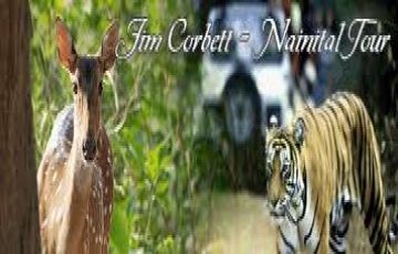 Memorable 4 Days 3 Nights Nanital and Corbett Trip Package