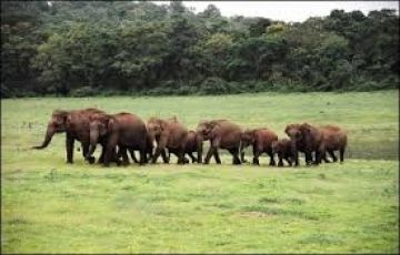 Coorg Family Tour For 4 Days / 3 Nights