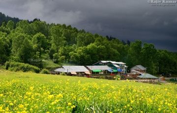 8 Days New Delhi to Pahalgam Trip Package