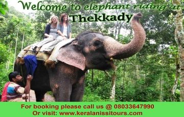 Experience 3 Days 2 Nights Munnar Vacation Package