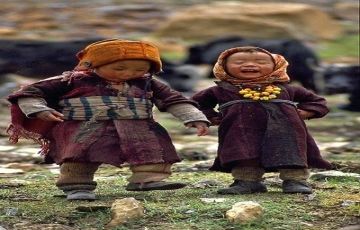 Pleasurable 2 Days 1 Night Srinagar with Yousmarg Valley Tour Package