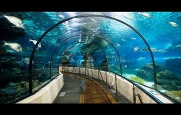 Heart-warming 4 Days 3 Nights Singapore with Sentosa Island Vacation Package