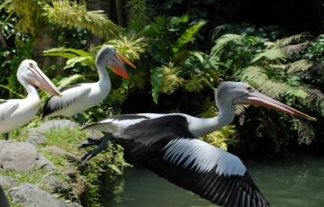 Magical 4 Days 3 Nights Bali Vacation Package