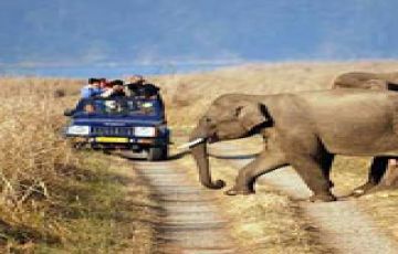 4 Days Ramnagar,Kathgodam to Bhimtal Trip Package