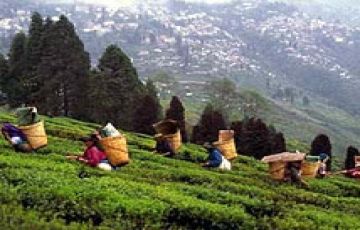Pleasurable 4 Days 3 Nights Darjeeling with Mirik Holiday Package