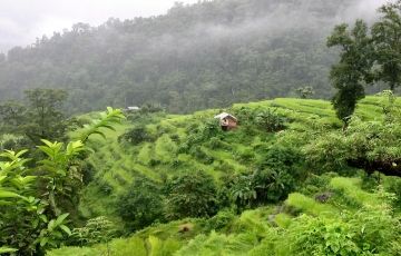 Amazing 5 Days 4 Nights Gangtok, Pelling with Yuksom Excursion Tour Package