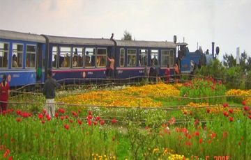 Experience 7 Days 6 Nights Darjeeling, Gangtok with Kalimpong Holiday Package