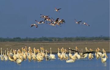 Ecstatic 11 Days 10 Nights Bomdila, Guwahati with Tawang Trip Package