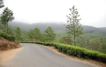 Ecstatic 4 Days 3 Nights Ooty Holiday Package