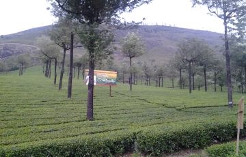 Ecstatic 4 Days 3 Nights Ooty Holiday Package