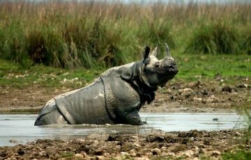 Heart-warming 6 Days 5 Nights Cherapunjee Holiday Package