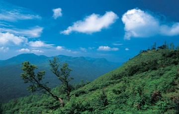 Ecstatic 7 Days 6 Nights Mysore, Ooty, Bangalore with Kodai Holiday Package