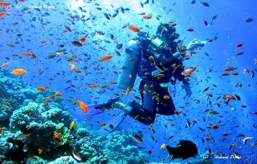 Magical 5 Days 4 Nights Havelock Island with Port Blair Tour Package