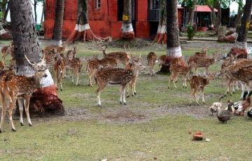 Pleasurable 6 Days 5 Nights Port Blair, Ross Island, Neil Islands and Havelock Island Vacation Package