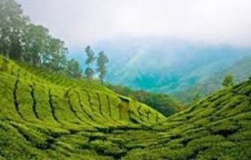 Heart-warming 8 Days 7 Nights Kovalam Trip Package