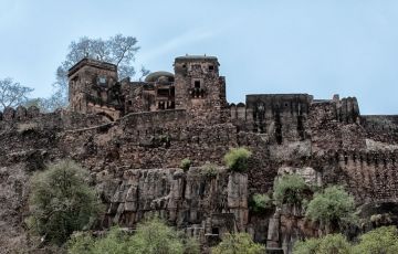 5 Days 4 Nights Jaipur and Ranthambore Trip Package