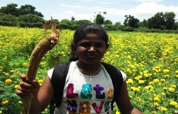 Experience 2 Days 1 Night Madurai and Malaiyur Holiday Package