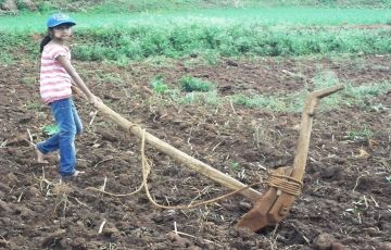 Experience 2 Days 1 Night Madurai and Malaiyur Holiday Package