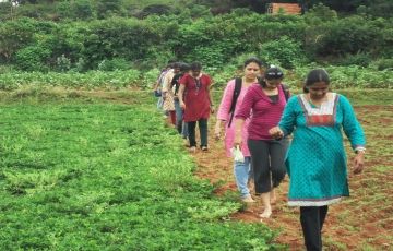 Experience 2 Days 1 Night Madurai and Malaiyur Holiday Package