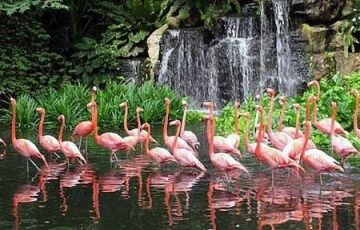 Best 6 Days 5 Nights Kualalumpur Trip Package