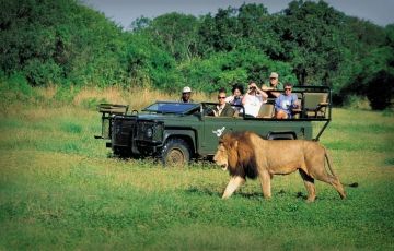 Pleasurable 7 Days 6 Nights Johannesburg, Cape Town and Kapama Private Game Reserve Holiday Package