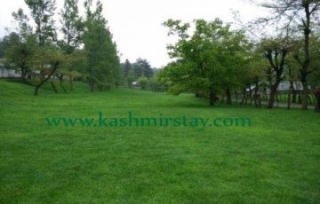 Memorable 3 Days 2 Nights Srinagar Tour Package
