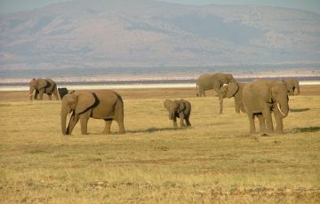 Ecstatic 5 Days 4 Nights Arusha Trip Package