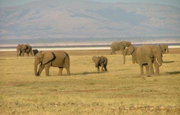 Ecstatic 5 Days 4 Nights Arusha Trip Package