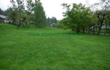 Heart-warming 5 Days 4 Nights Srinagar Tour Package