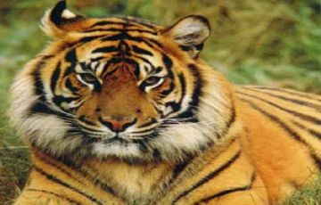 Beautiful 9 Days 8 Nights Dhaka, Khulna with Sundarban Vacation Package