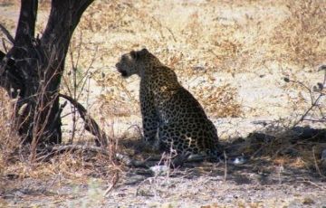 Beautiful 4 Days 3 Nights Victoria Falls Tour Package