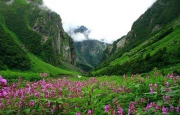 Best 6 Days 5 Nights Valley of Flowers, Hemkund Sahib with Haridwar Vacation Package