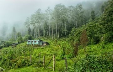 East Sikkim (4 Nights / 5 Days)