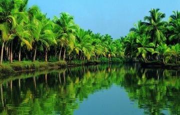 Magical 4 Days 3 Nights Cochin and Thekkady Holiday Package
